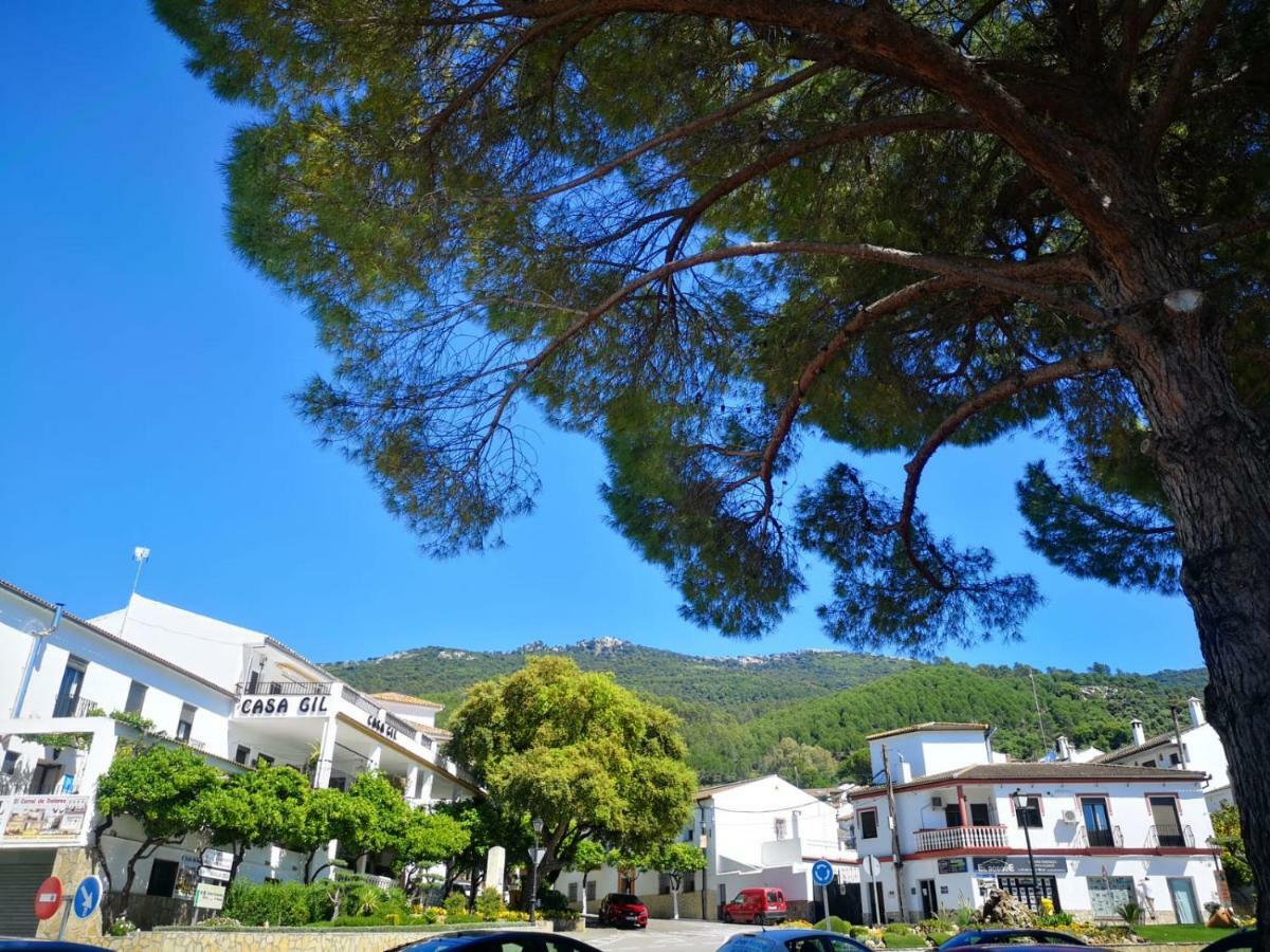 Pension Venta Julian Hca01134 El Bosque Eksteriør billede